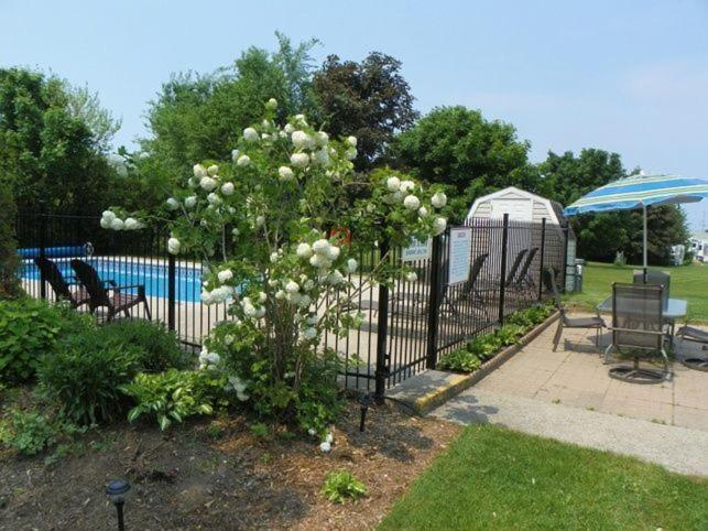 קינקרדין Lakeview Motel & Cottage מראה חיצוני תמונה